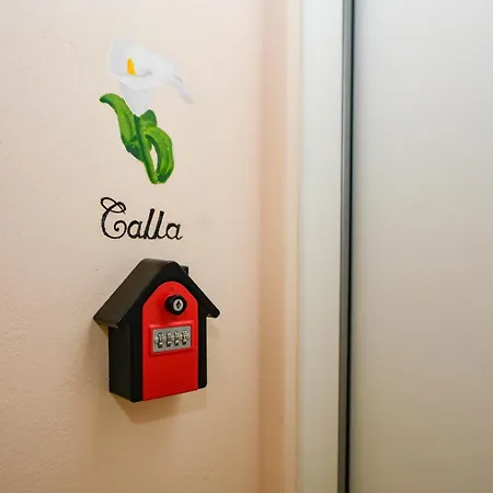 Flowers Apartments Desenzano del Garda Exterior photo